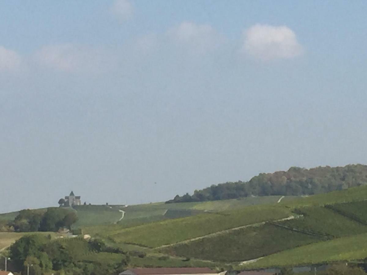 Mille Et Une Bulles 51 Brugny-Vaudancourt 外观 照片