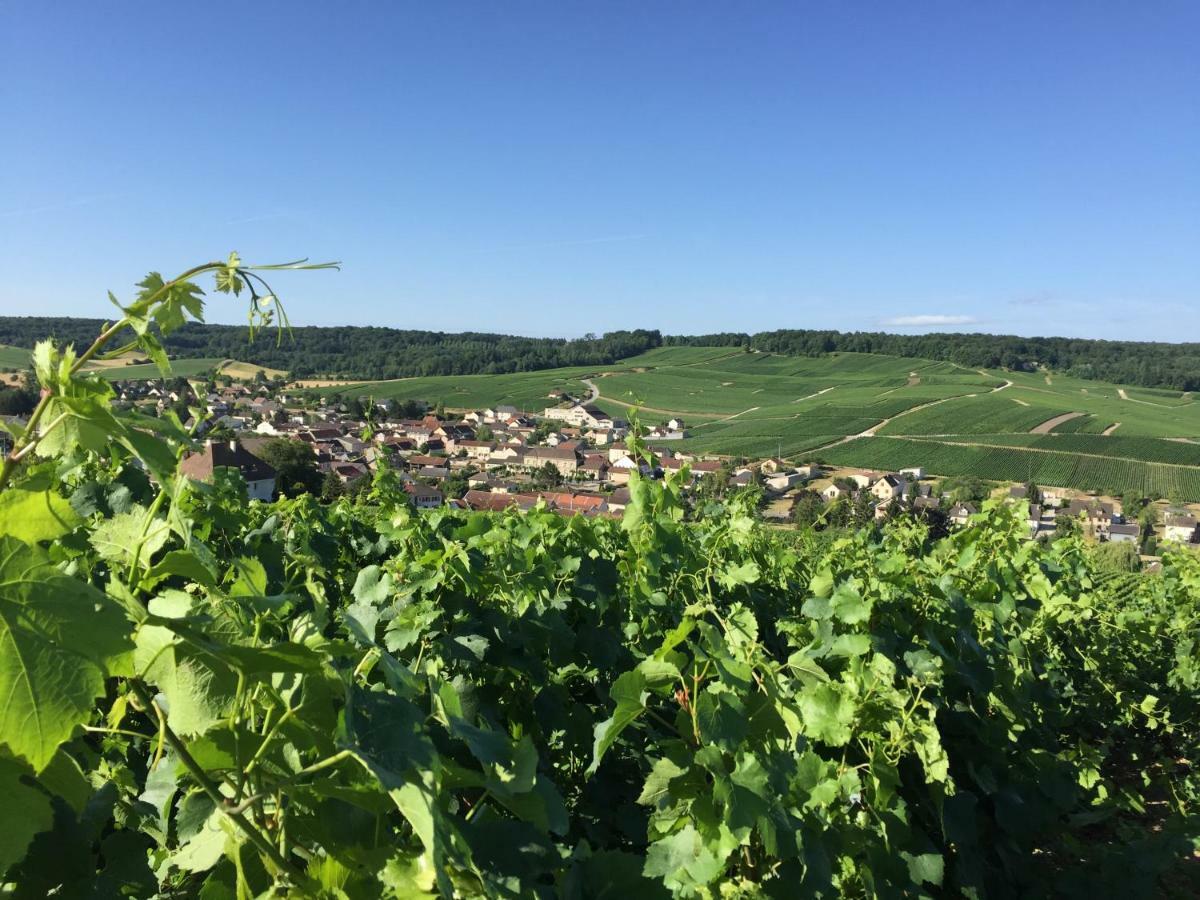 Mille Et Une Bulles 51 Brugny-Vaudancourt 外观 照片